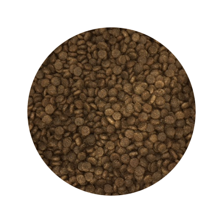 Alleva NATURAL dog adult mini lamb & pumpkin rozvažované na predajni 1 Kg