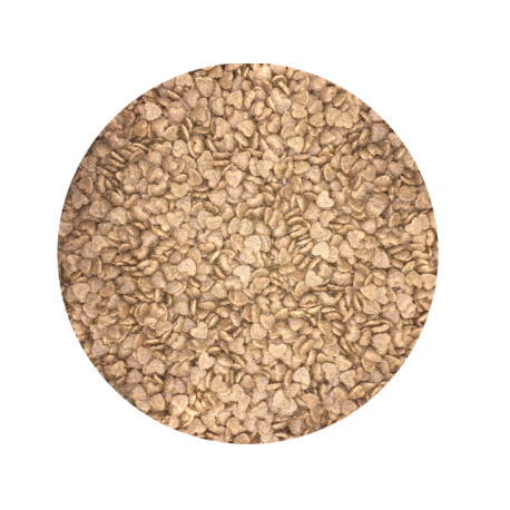 Fitmin For Life Adult Mini krmivo pre malé psy rozvažované na predajni 1 kg